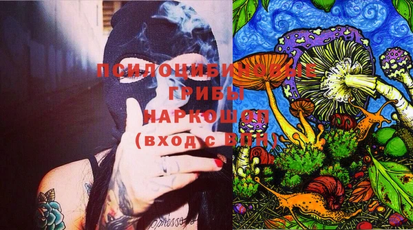 дурь Верхний Тагил