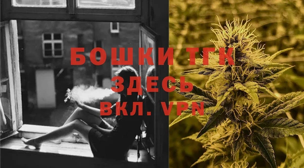 дурь Верхний Тагил